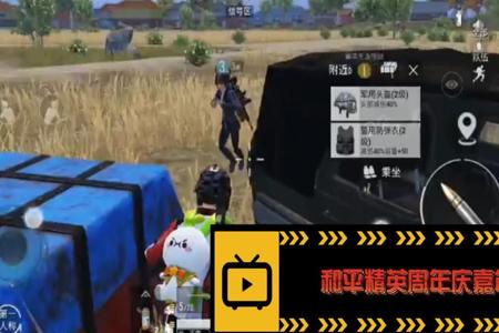 和平精英嘉年华辅助免费（和平精英辅助嘉年华）