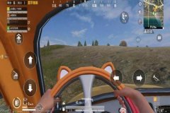 和平精英怎么开启车辆辅助（和平精英怎么显示车辆）