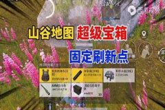 和平精英有什么系统外挂（和平精英都有外挂吗）