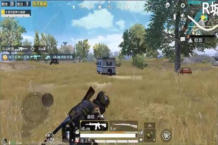 手游和平精英透视除草辅助(和平精英除草辅助下载) 手游和平精英透视除草辅助(和平精英除草辅助下载)