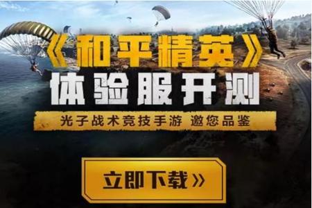 什么是辅助认证和平精英(海外怎么认证和平精英) 什么是辅助认证和平精英(海外怎么认证和平精英)