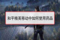 和平精英可以用哪些辅助器(和平精英需不需要用辅助器)